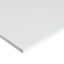 Image de Fermacell Slimpanel Gipsvezelplaat 2600x600x10 mm