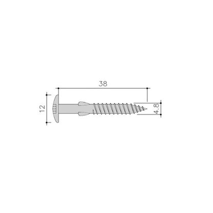 Image de Siding Schroef Torx+Vlgls 100St 4,8X38 Rvs C07 Roomwit