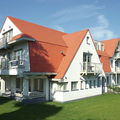 Picture of Koramic Tile Tile 301 Natural Red