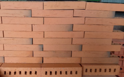 Afbeeldingen van Wienerberger SCR Eco RF Betula Lot